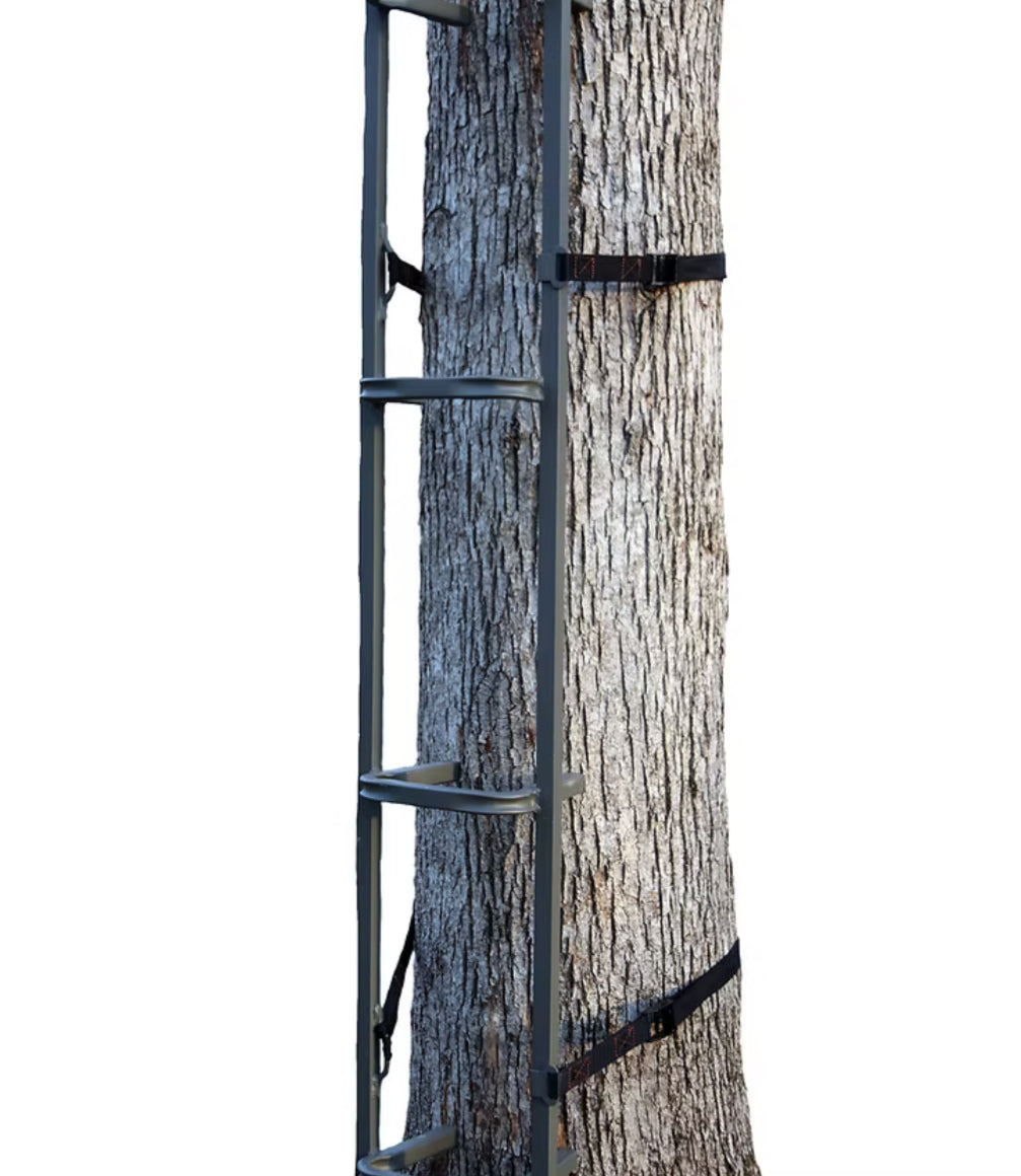 Trezz CS (Closed-Step) Climbing Sticks 4 pack