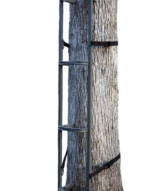 Trezz CS (Closed-Step) Climbing Sticks 4 pack