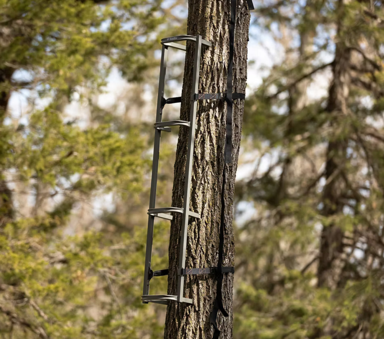 Trezz CS (Closed-Step) Climbing Sticks 4 pack
