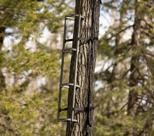Trezz CS (Closed-Step) Climbing Sticks 4 pack