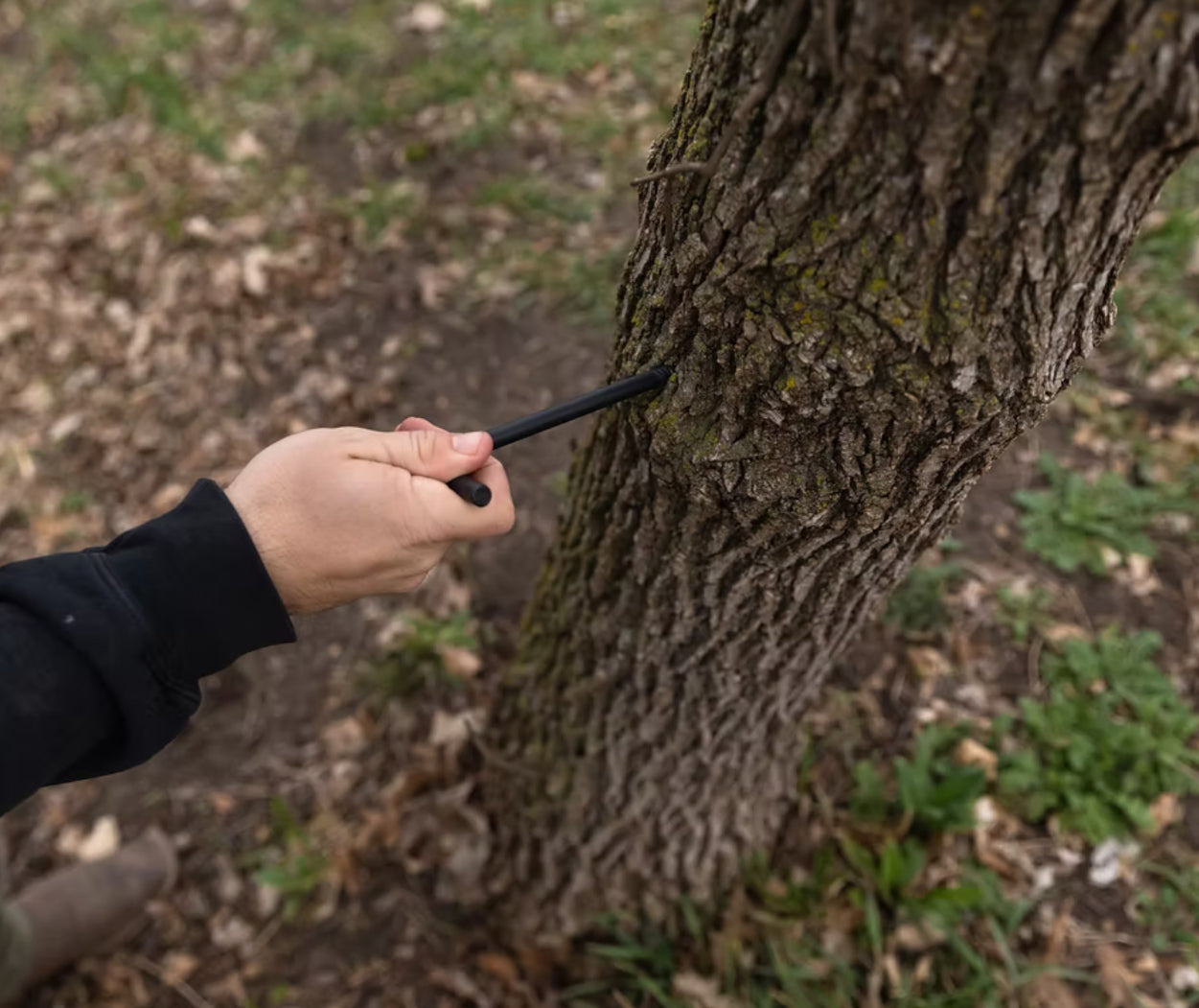 Stic-N-Pic Original Screw-In Tree Mount