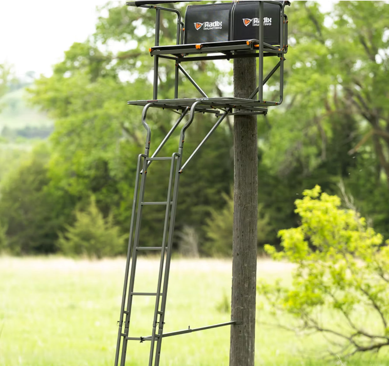 Tree Stands