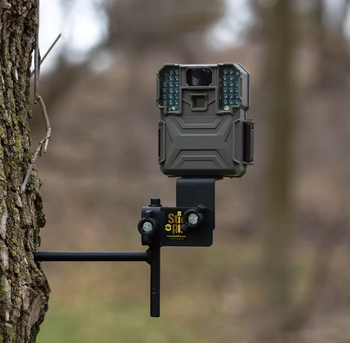 Cameras