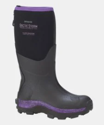 Artic Storm - Women’s