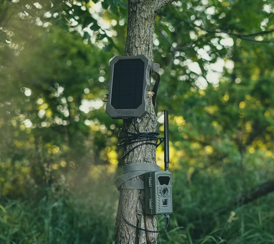 Radix Hunting Solar Panel